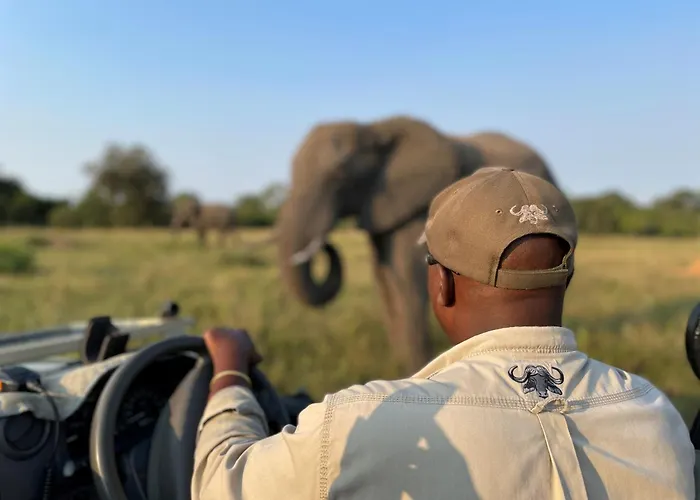 Inyati Game Lodge