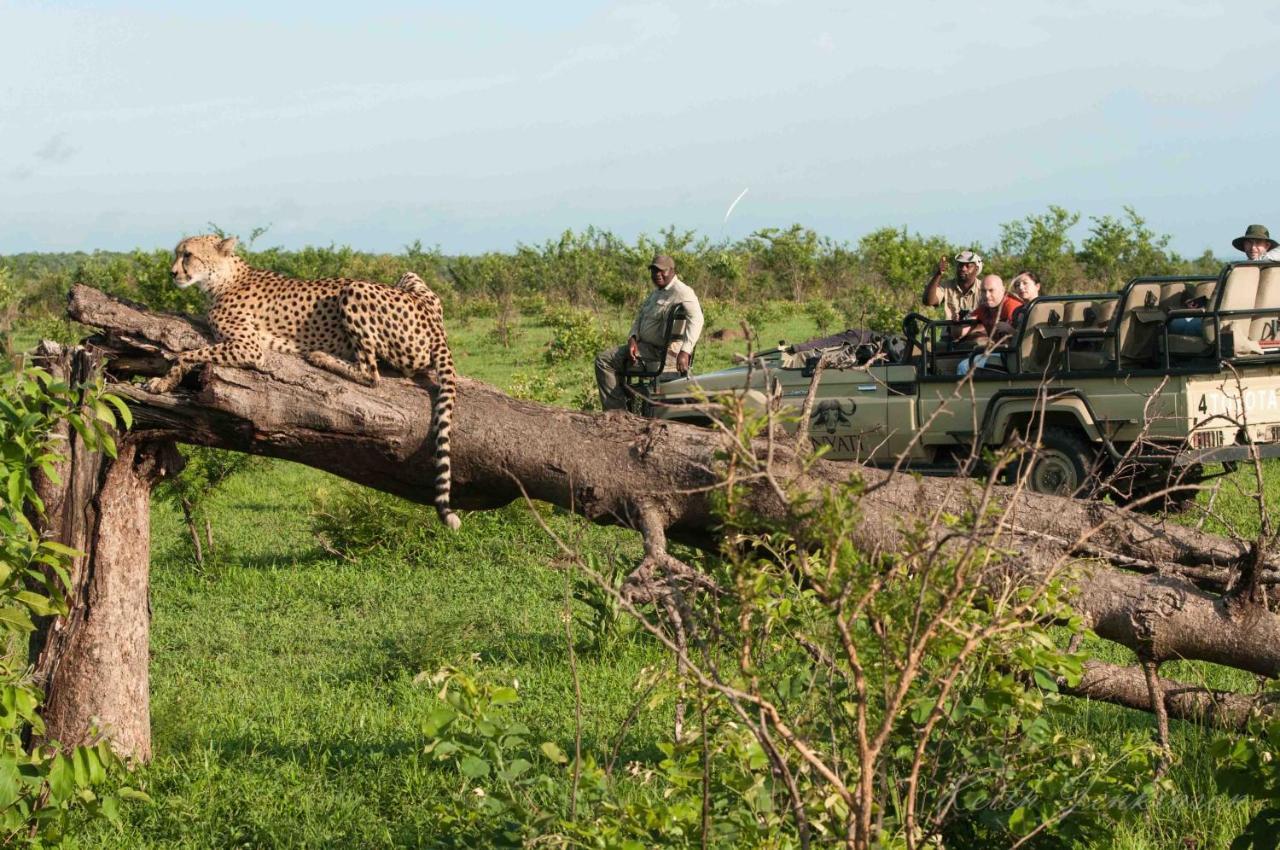 Inyati Game Lodge *