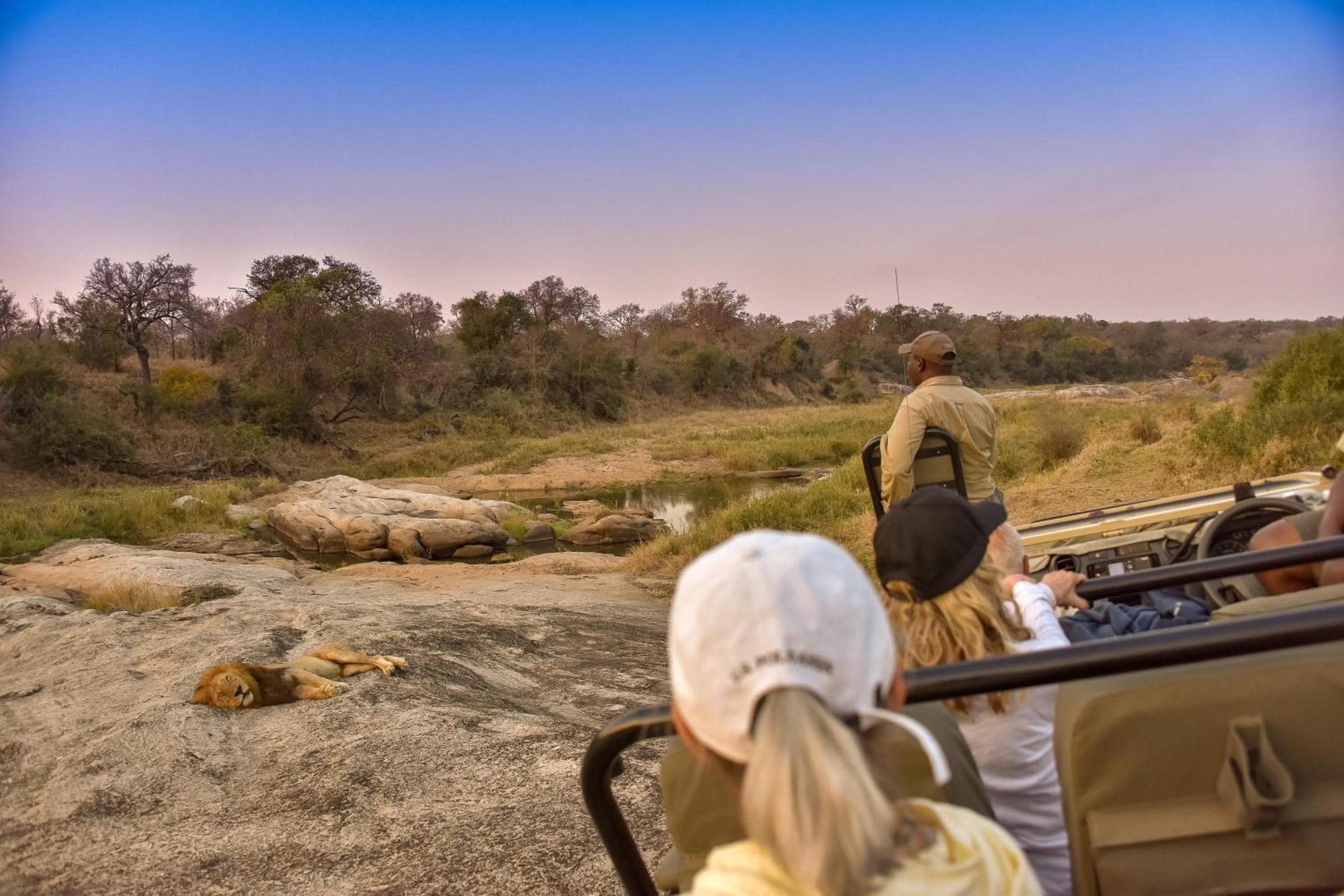Inyati Game Lodge Sabi Sand Game Reserve