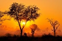 Inyati Game Sabi Sand Game Reserve