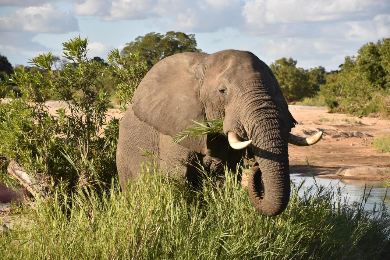 Inyati Game Lodge