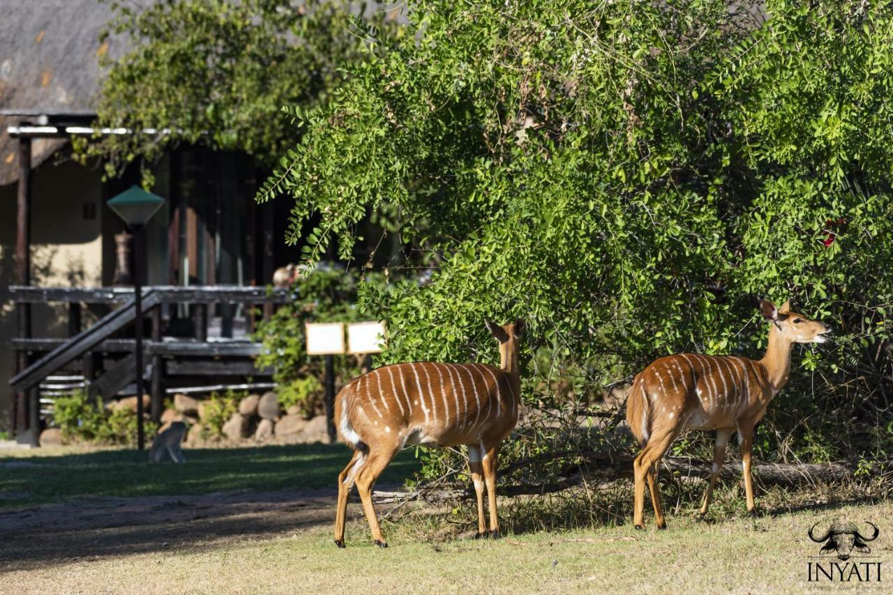 Inyati Game Lodge Sabi-Sand-Reservat